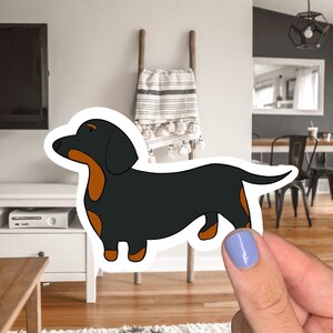 Black and Tan Dachshund Sticker for laptops, water bottles and notebooks- waterproof and UV Resistant