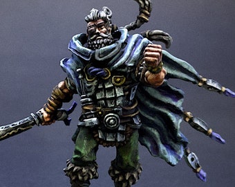 Nords Captain- Professionally Painted Miniatures for Conquest