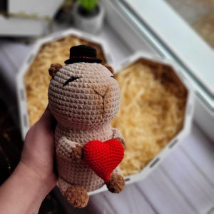 Capybara plush toy, Handmade Crochet Capybara, Soft Stuffed Animal Toy, Gifts for Capybara Lovers, Valentine&#39;s Day Gift, Crochet Decor