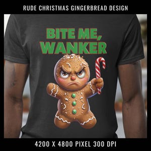 Funny Christmas PNG, Gingerbread Man Art, Sarcastic Xmas PNG, Sublimation Designs, Hoodie Designs, T-Shirt Graphics, Mug Designs