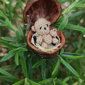 Op de afbeelding: Een miniatuur beige gehaakte teddybeer met zwarte geborduurde ogen en neus, genesteld in een bruine walnootschaal bekleed met lichtgekleurd vezelig materiaal. De kleine beer heeft ronde oren en beweegbare ledematen, rustend in de schaal.