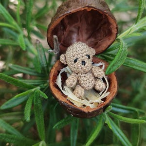 Könnte beinhalten: Ein kleiner, beigefarbener, gehäkelter Teddybär mit schwarzen, gestickten Augen und einer Nase, der in einer braunen, ausgehöhlten Walnussschale sitzt, die helle Holzspäne als Unterlage für die kleine Stofftierfigur enthält.