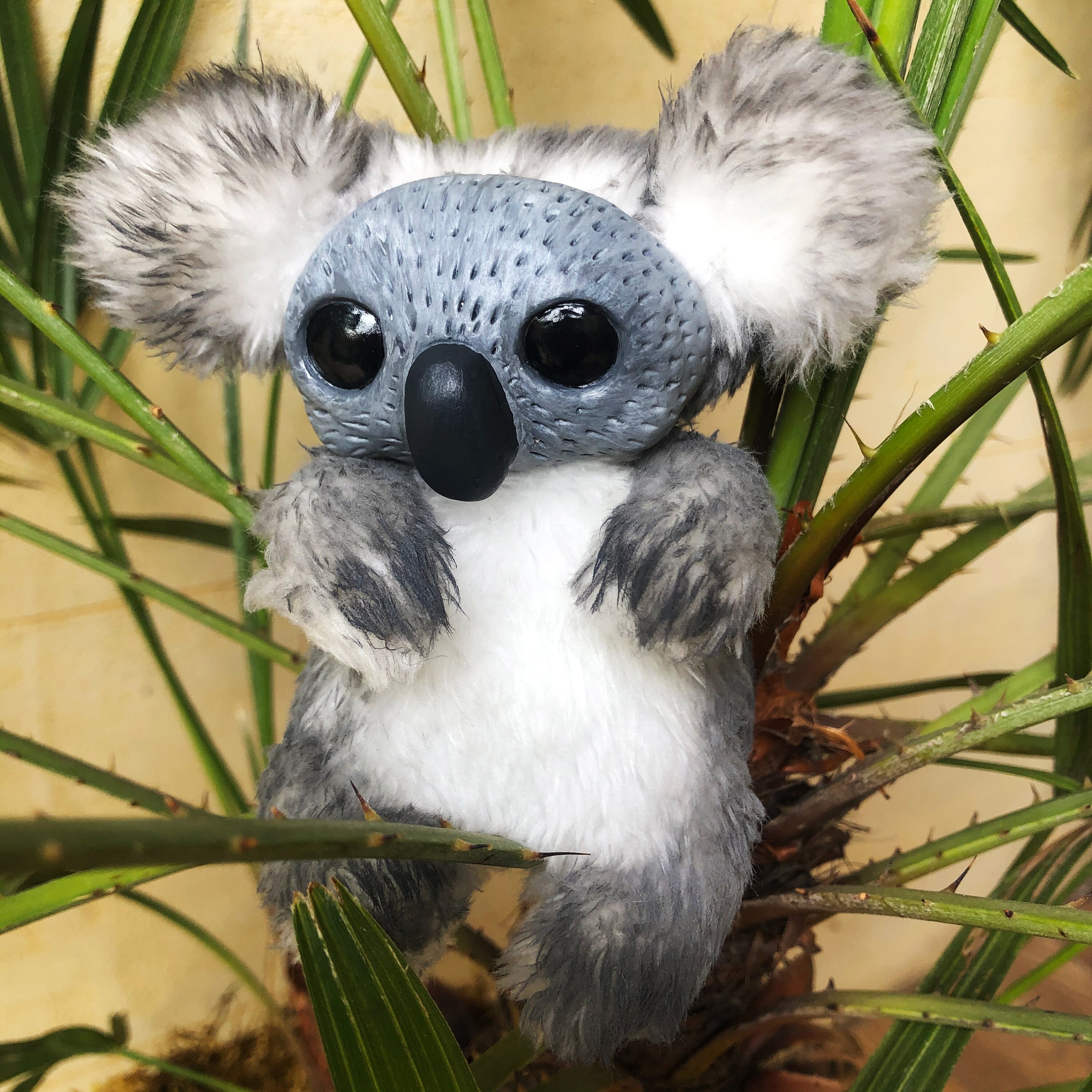 stofftier koala