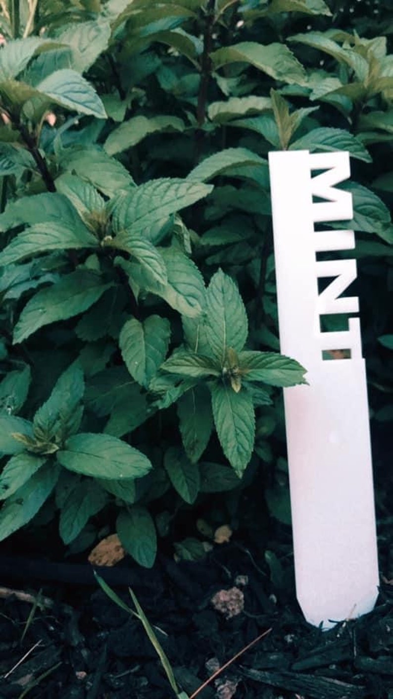 LARGE Wooden Garden Stakes Plant Name Stake Etsy
