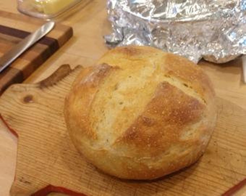 SAN FRANCISCO Zourdough Sourdough Starters Etsy