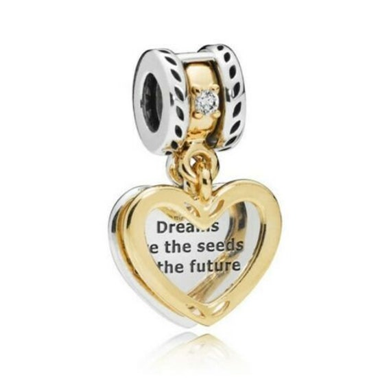Dreams are the seeds of the Future Heart Dangle fits Pandora bracelets 2 Pc Charm Silver and Gold Charm Graduation Charm