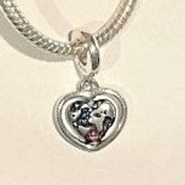 Family Spinning Heart Globe Dangle Charm Fits Pandora Bracelets , My Family ,My Friends, My World, 925 Sterling Silver