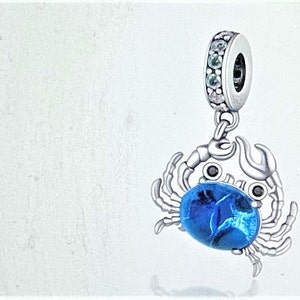 Amazon pandora charms clearance outlet