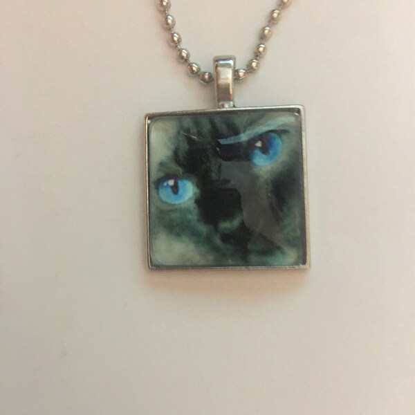 Blue Eyed Black Grey Cat Glass Necklace , kitty Glass Photo Pendant Jewelry