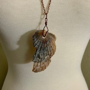 Naturally weathered large scallop shell pendant with copper chain