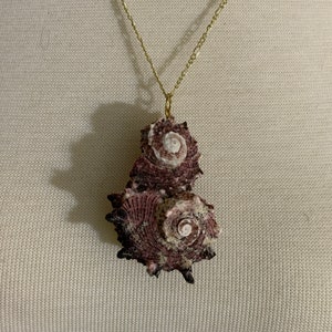 Large pink horned spiral shell necklace with gold chain