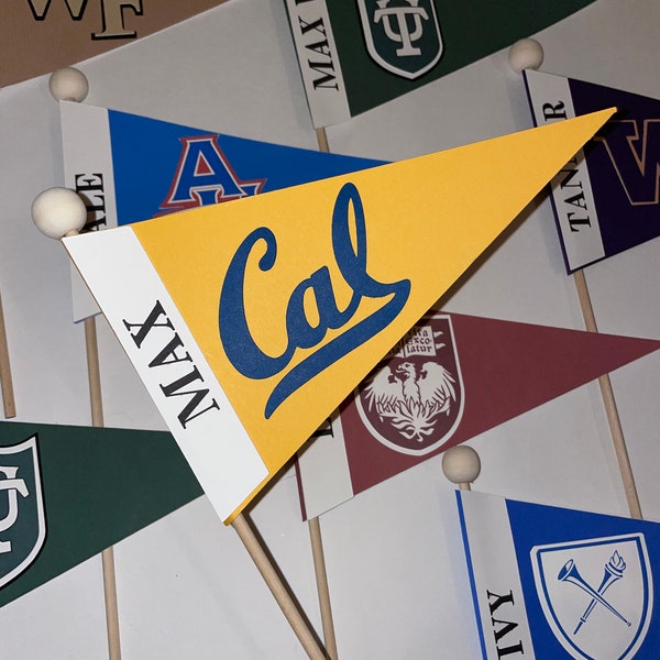 Custom College Pennant Flags | Centerpiece Pennant Flag | College Flag | College Graduation Flag