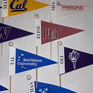 Custom College Pennant Flags | Centerpiece Pennant Flag | College Flag ...