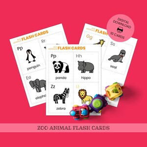 SCHEDE FLASH sugli animali dello zoo per bambini / Schede Montessori / Download digitale per bambini, Attività in tre parti sugli animali del safari, Scheda nomenclativa Z01