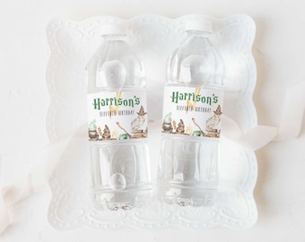 May include: Two clear plastic water bottles with white labels featuring the green text Harrison's Eleventh Birthday, a yellow lightning bolt, a brown owl wearing a hat, a stack of books, and a wooden wand illustration on each label.