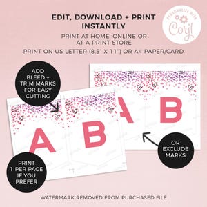 Confetti Hearts Party Banner, editable template | Custom printable sign, girl's Birthday or room decor flag bunting INSTANT DOWNLOAD H05 image 4