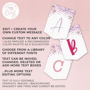 Confetti Hearts Party Banner, editable template | Custom printable sign, girl's Birthday or room decor flag bunting INSTANT DOWNLOAD H05 image 3