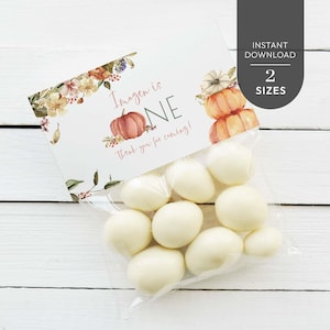 Fall First Birthday Favor Bag Topper Cards, editable printable | Thanksgiving pumpkin candy treat template, party gift INSTANT DOWNLOAD F02 image 1