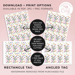 Rainbow Confetti Favor Tags editable printable Colorful party thank you gift tag, Happy Birthday treat DIY template INSTANT DOWNLOAD C06 image 4