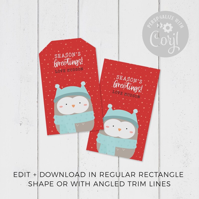 Christmas Gift Tag Printable Owl, editable instant download | Cute animal favor school friend, classmate, teacher | Custom DIY template W01 image 2
