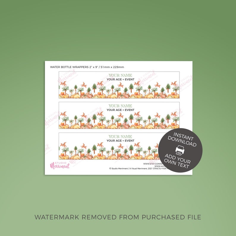 Dinosaur Water Bottle Label editable printable Prehistoric Birthday favor wrapper instant download Watercolor trex dino party