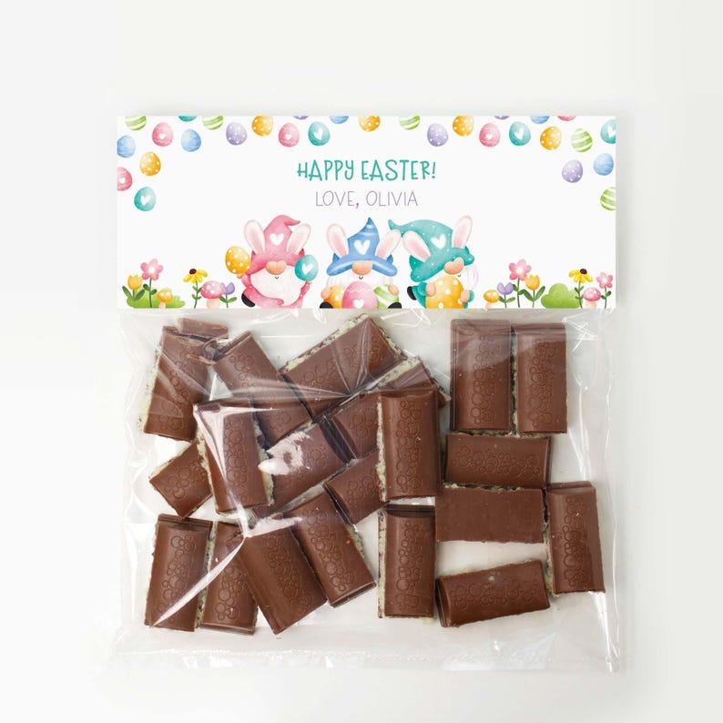 Editable Easter Bag Topper, printable favor treat tag Happy Easter spring gnomes | Easter egg basket cookie template instant download E04 image 2