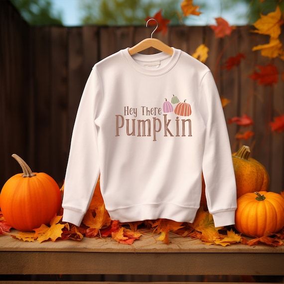 Hey Pumpkin Sweatshirt Pumpkin Sweatshirt Fall Sweatshirt for