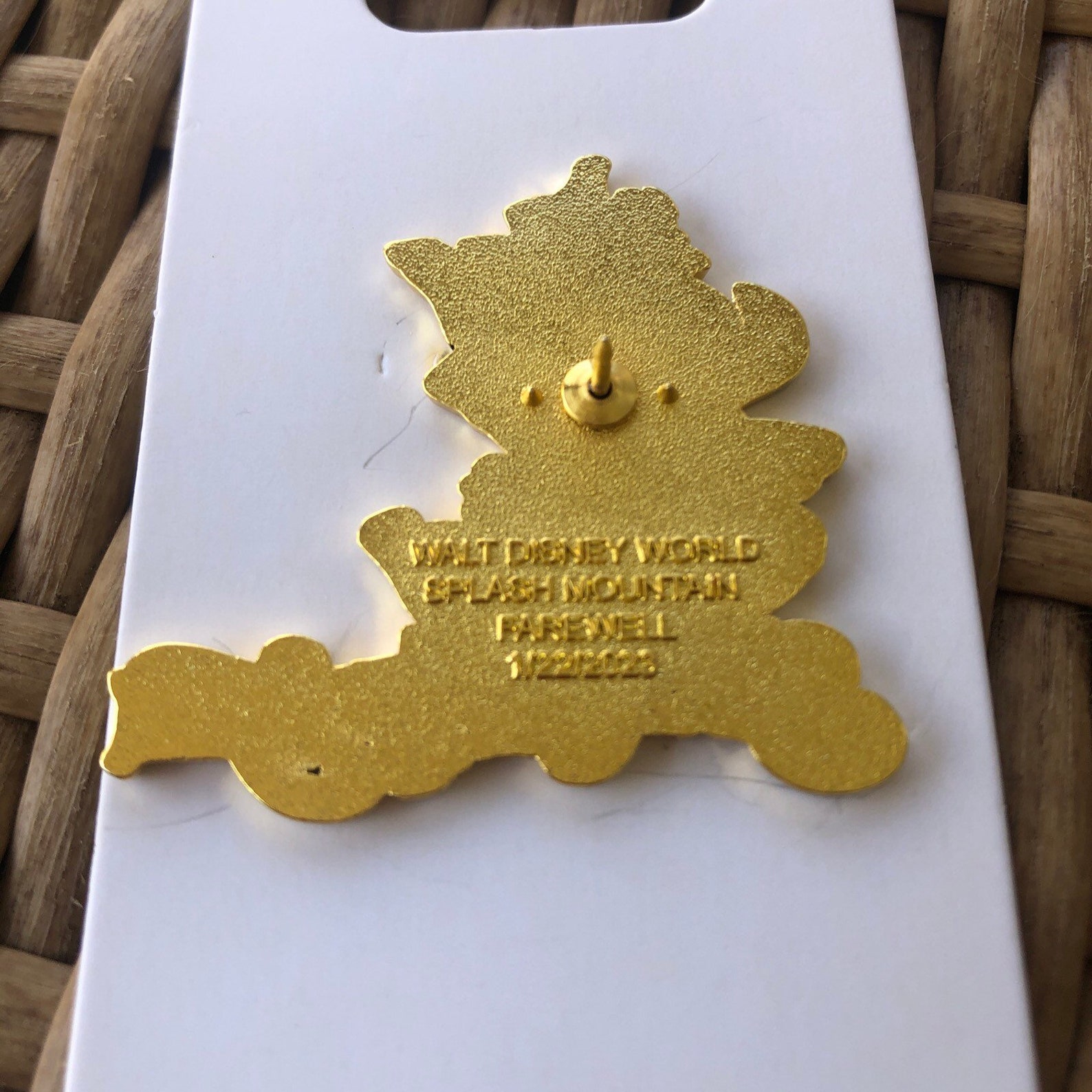 Disney's Splash Mountain Brer Rabbit Briar Patch Fantasy Pin WDW ...