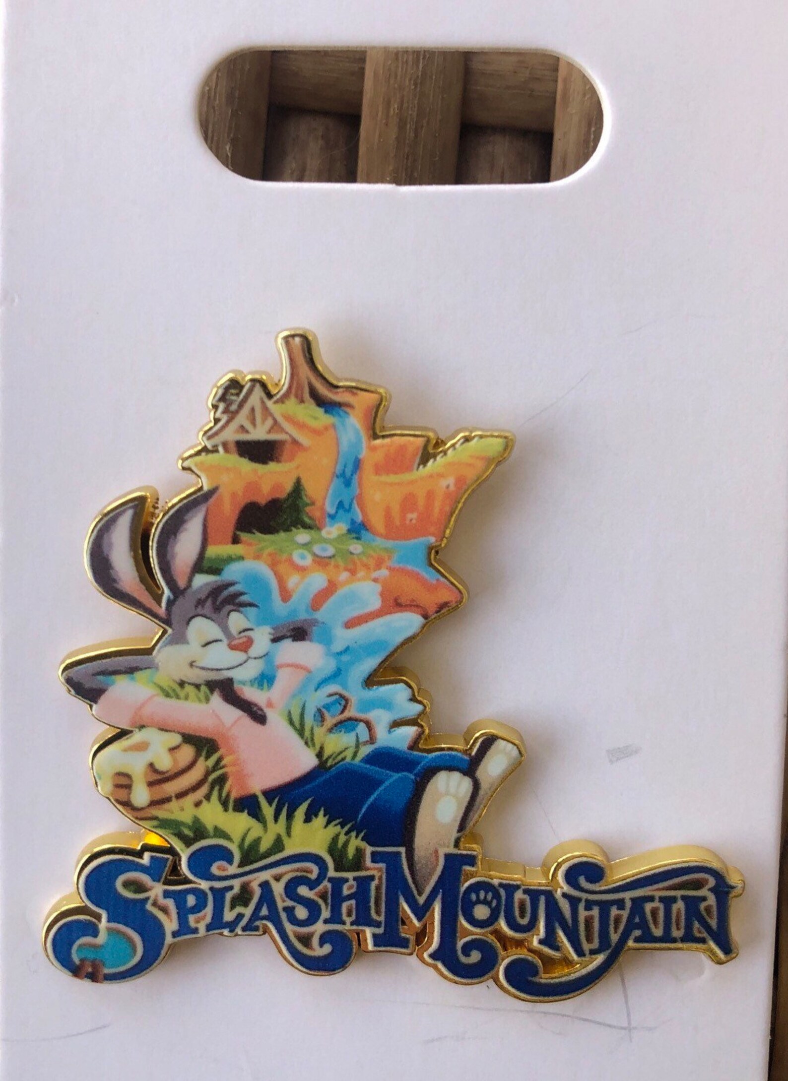 Disney's Splash Mountain Brer Rabbit Briar Patch Fantasy Pin WDW ...