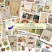 Christmas Ephemera Printable Pack, Junk Journal Printable, Ephemera Kit, Christmas Fussy Cuts, Collage Paper, Tear Pages, Eclectic Eggplant 