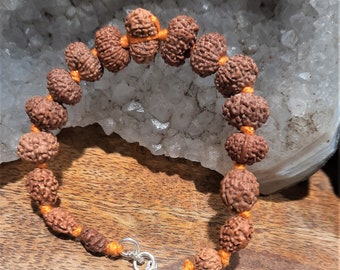 1 to 14 Mukhi Rudraksha Bracelet | One to fourteen Face Rudraksh Bracelet | Natural Rudraksha