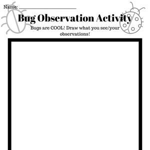 Bug Observation Sheet