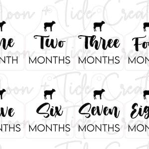 Baby Milestone Cattle Tags - SVG PDF Digital Cut File Laser - Infant - 11 Mois Un An - Photo Prop - Glowforge
