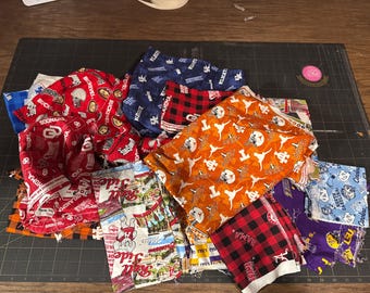 College Teams Fabric Scrap Bundle | Quilting Cotton Remnants | Modern Fabric Scraps | Stash Builder Grab Bag