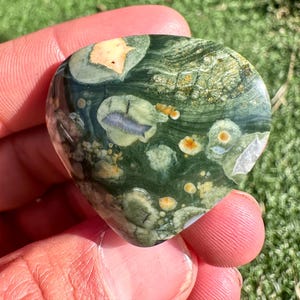 Rainforest Jasper Cabochon