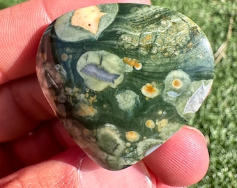 Rainforest Jasper Cabochon