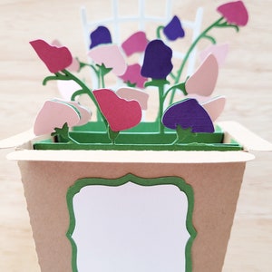 Carte de fleurs de pois doux