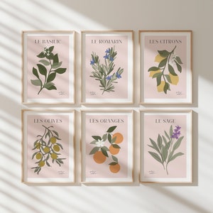 Kitchen Art Set of 6 Herb Prints, Sage Rosemary Basil Lemon Prints, Botanical Posters French Country Decor Kitchen Printable Wall Art