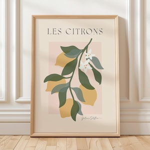 Les Citrons Lemons Poster: Vintage Kitchen Wall Art, Fruit Art Print, Pastel Kitchen Decor