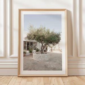 Olive Tree Print Mediterranean Art Print, Tuscany Wall Art Vintage Olive Grove Print Italy Photography Neutral Wall Art Italian Village Art