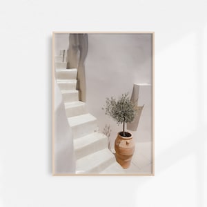 May include: White painted stairs leading up to a white wall with a small olive tree in a terracotta pot. The tree is in the lower right corner of the image.
