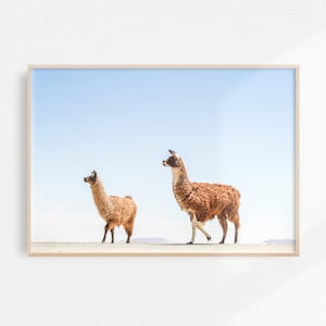 Llama Print | Alpaca Print | Salar de Uyuni Print | Llama Wall Art | Downloadable Print | Printable Art