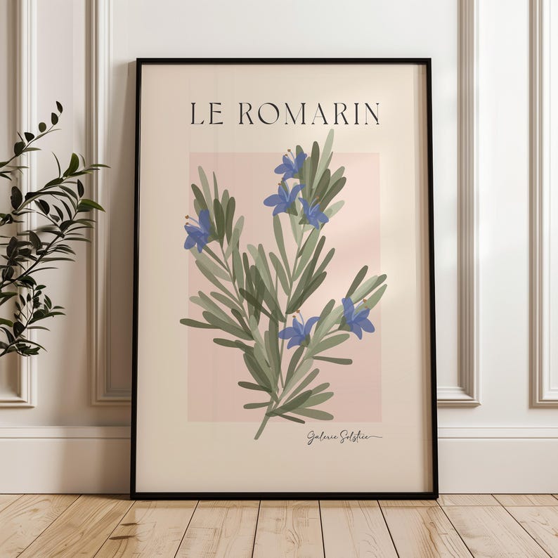 Op de afbeelding: Een botanische illustratie van rozemarijn, "Le Romarin", met blauwe bloemen en groene bladeren op een roze achtergrond. De handtekening van de kunstenaar, "Galerie Solphie", staat rechtsonder.