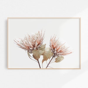 Protea Print Boho Botanical Printable Art, Dried Protea Wall Art Pink Flower Printable Art | Dried Flower Art Floral Boho Bedroom Decor