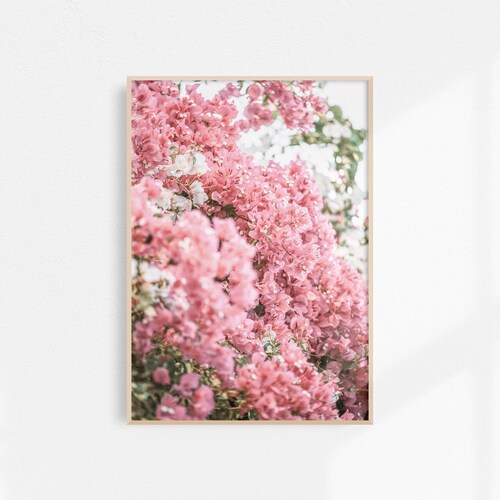 Pink Flower Print Printable Wall Art Bougainvillea Print Etsy