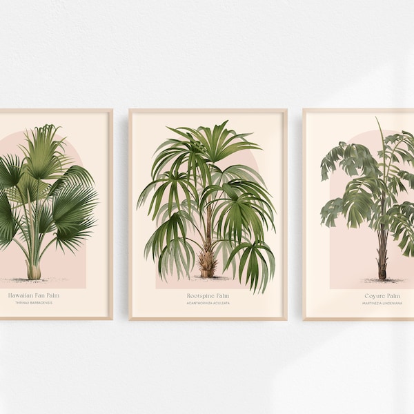 Vintage Botanisches Poster 3er Set | Dschungel Wandkunst | Tropische Palmendrucke | Hawaii Dekor | Rosa Grüne Palme Druckbare Wandkunst