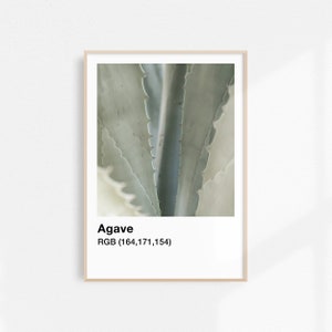 Salbei Grün Drucke Botanisches Ästhetisches Plakat, Agave druckbare Kunst Botanische Wandkunst Ästhetisches Plakat, Kaktus Plakat Minimalistischer Druck