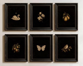 Moody Home Decor: Set of 6 Dark Farmhouse Prints, Black Antique Wall Art, Vintage Paintings for Living Room (Physical Posters)