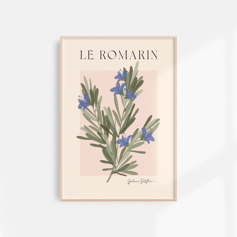 Op de afbeelding: Een ingelijste botanische illustratie van rozemarijn met blauwe bloemen op een roze achtergrond. De titel "LE ROMARIN" staat bovenaan de print. De handtekening van de kunstenaar "Galerie Solstice" staat onderaan.