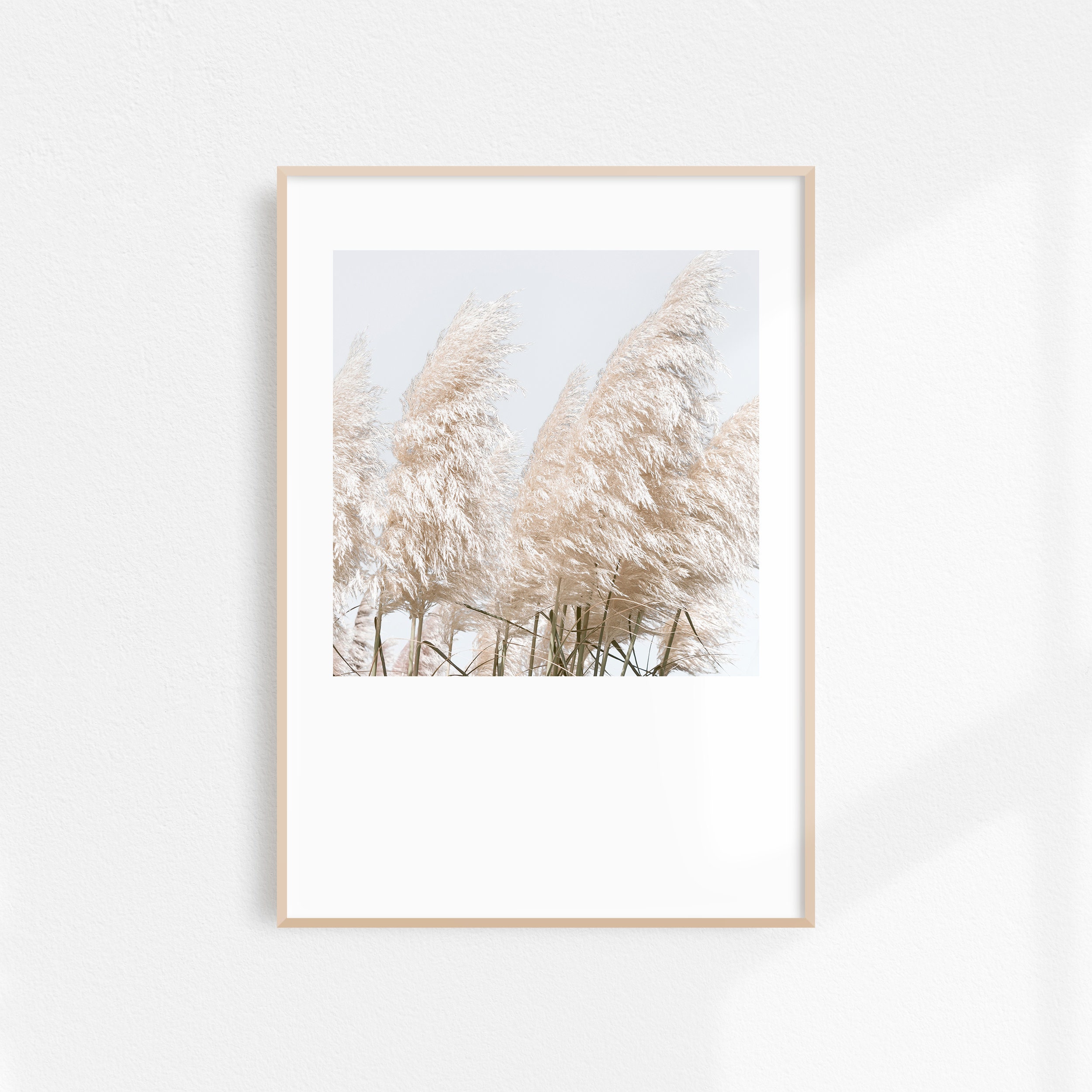 Neutral Coastal Prints Square Beach Prints Set of 6, 8x10